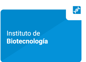 IB